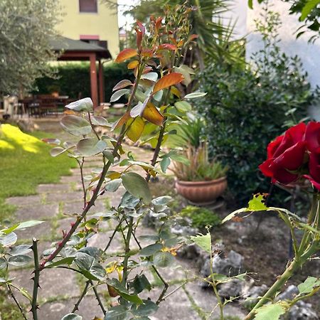 La Casa Di Gemma B&B Villa Vomano Bagian luar foto